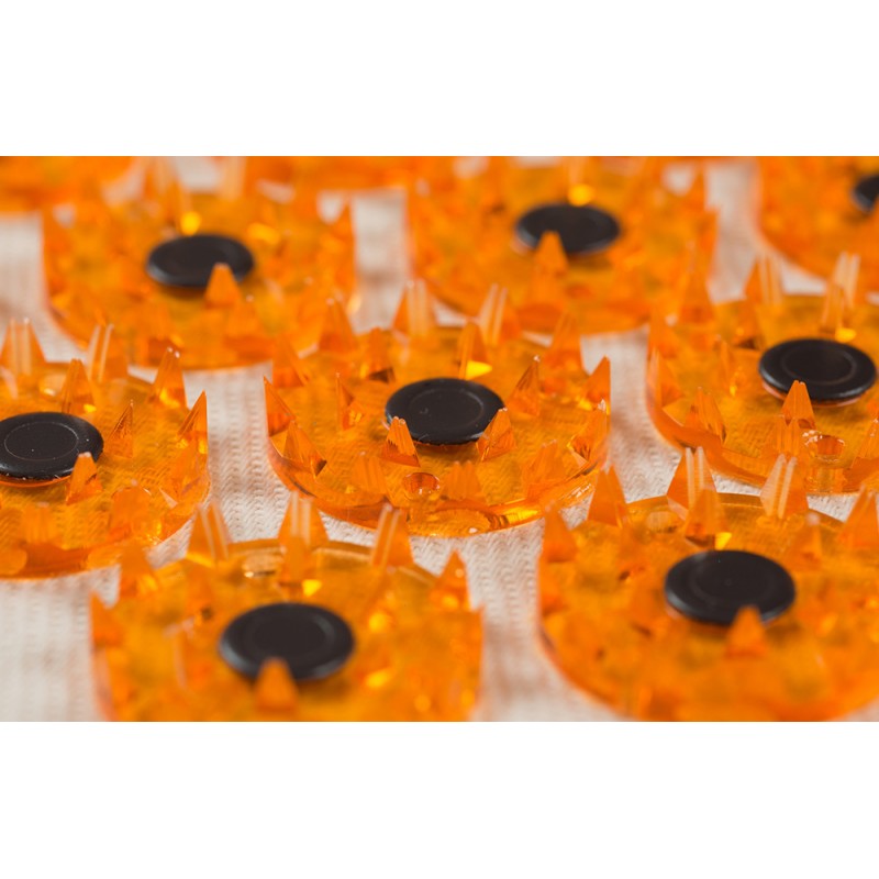 Magnetic applicator Kuznetsov