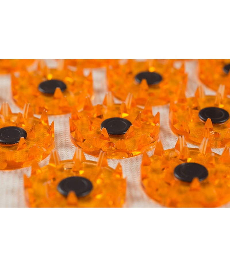 Magnetic applicator Kuznetsov