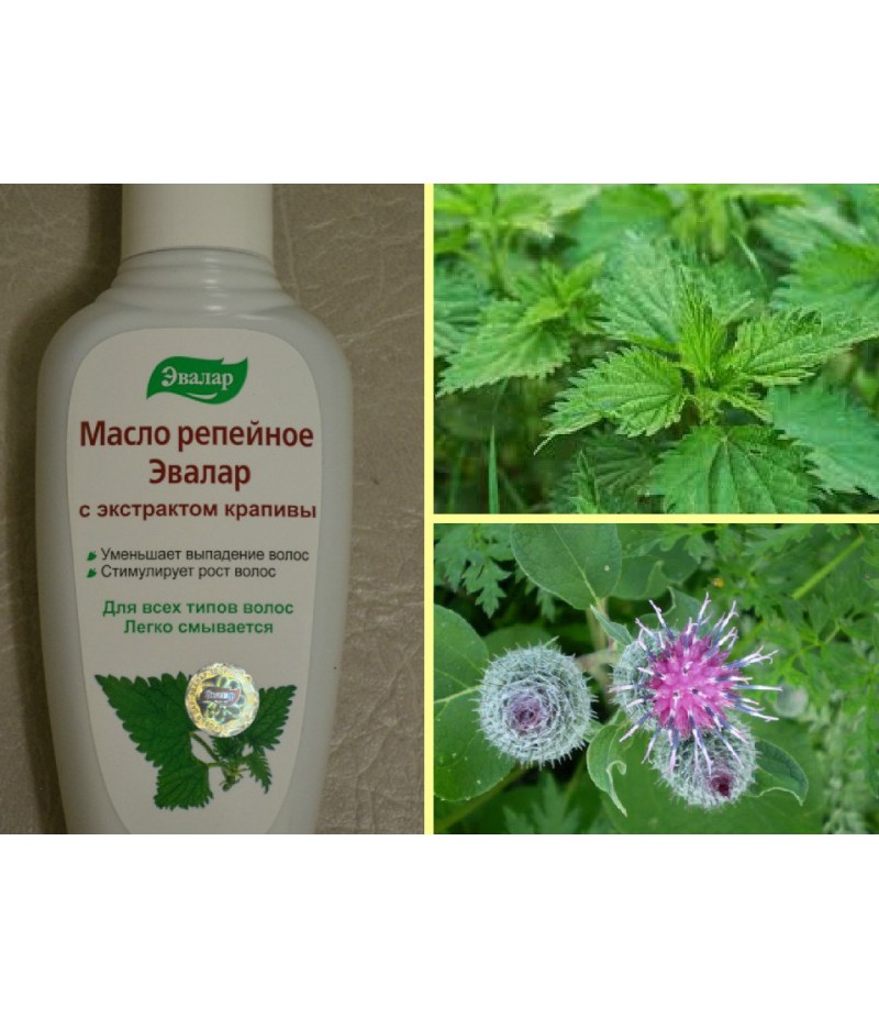 Burdock oil with nettle extract 100ml